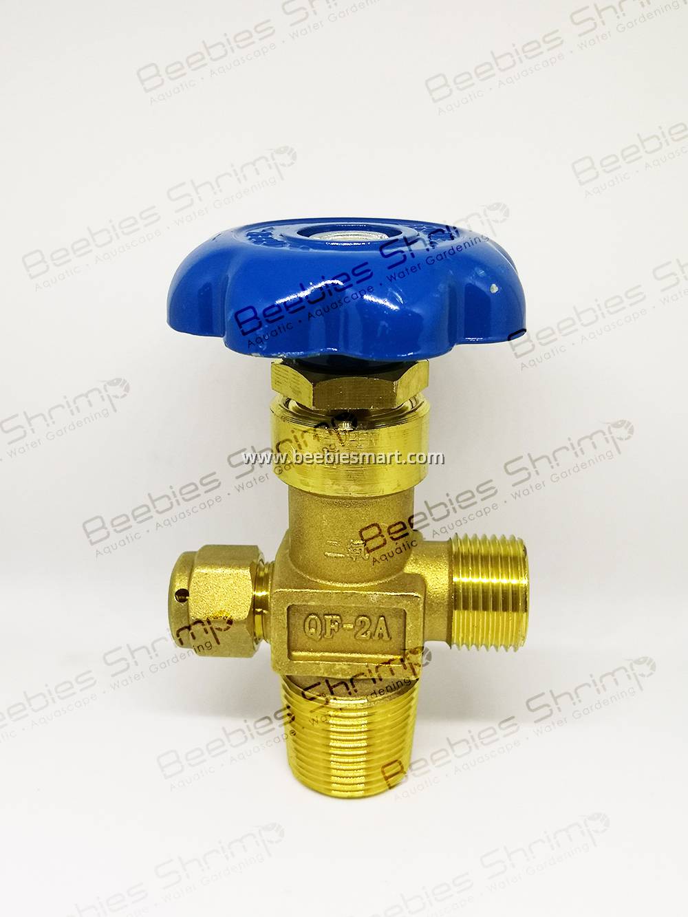 International Standard Size CO2 Control Valve Head with Safety Valve