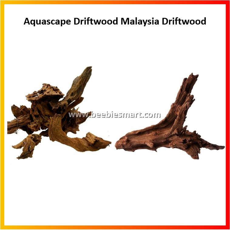 driftwood aquascape malaysia wood
