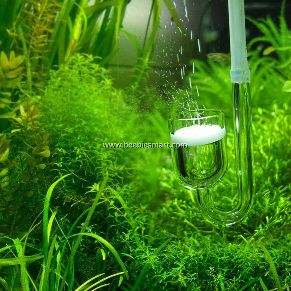 Co2 Glass Diffuser
