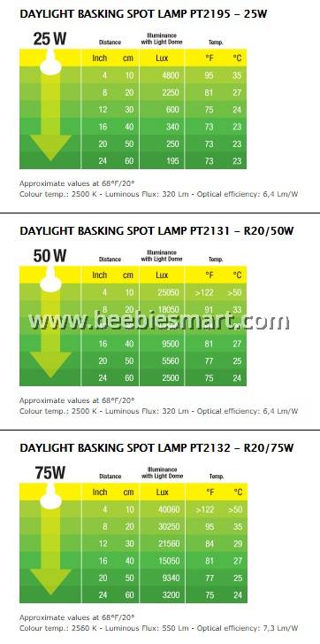 daylight basking spot