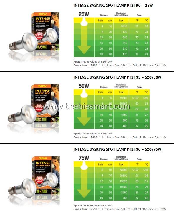 intense basking light