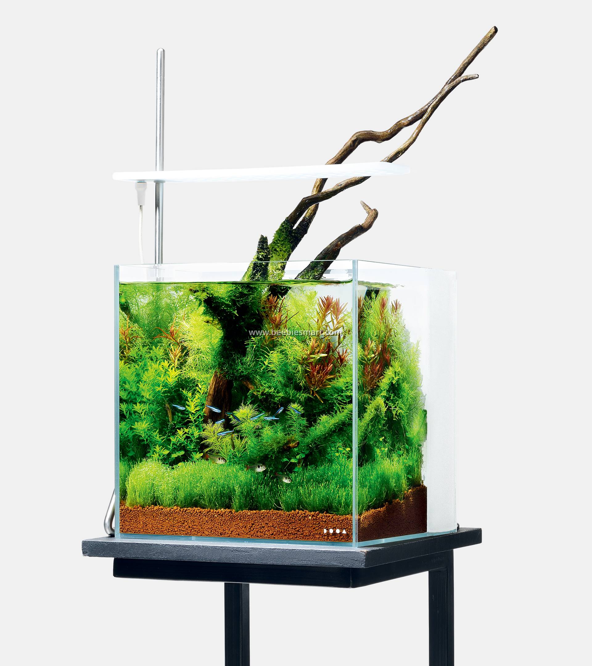 ADA DOOA System AQUA 30 (w/out USB Power Adapter)