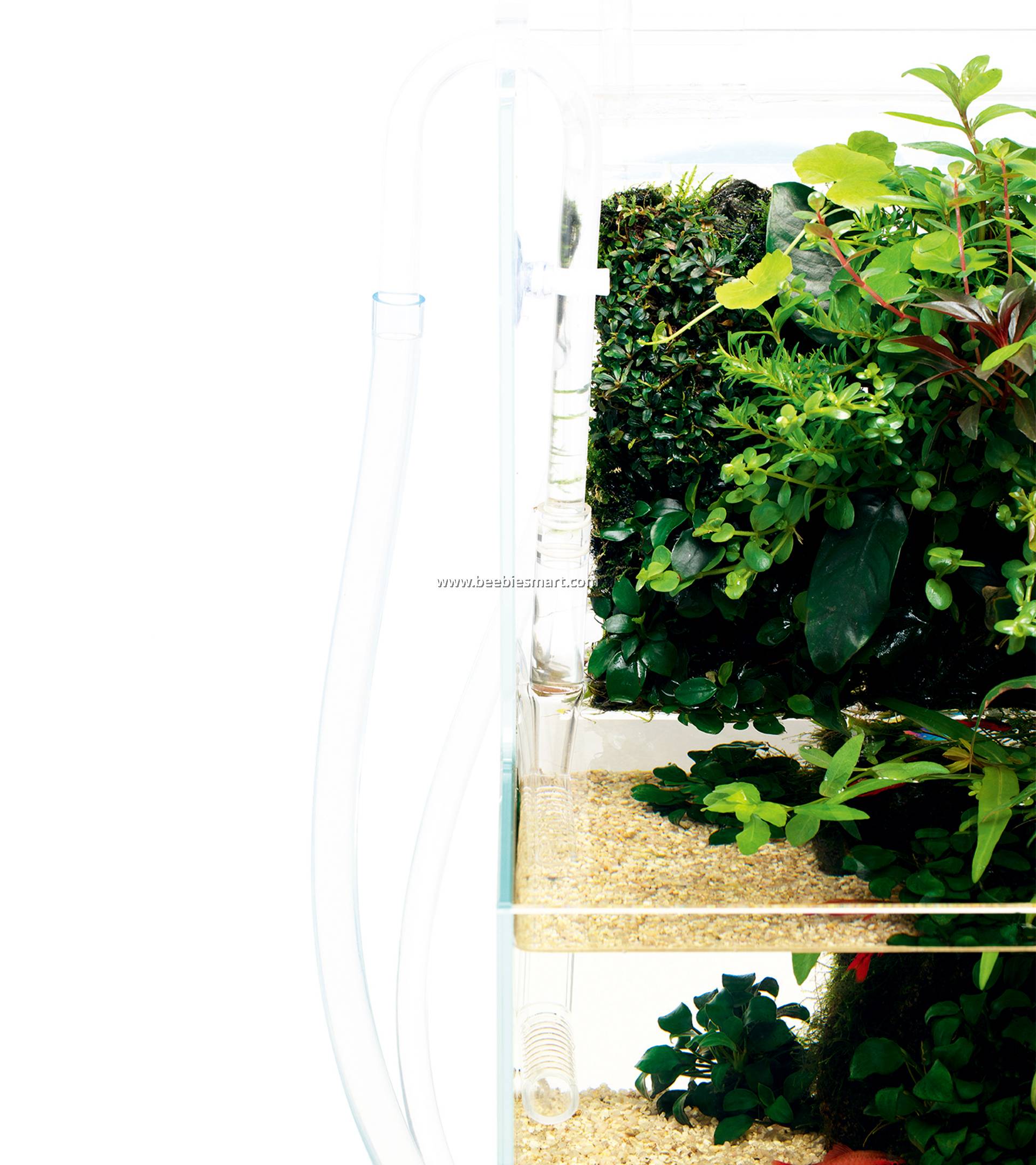 ADA DOOA ソルスタンドG 新品未使用