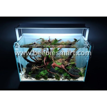 Explore the ADA AP Glass Feeder without fish food, designed to