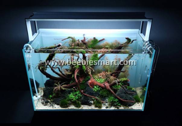Explore the ADA AP Glass Feeder without fish food, designed to