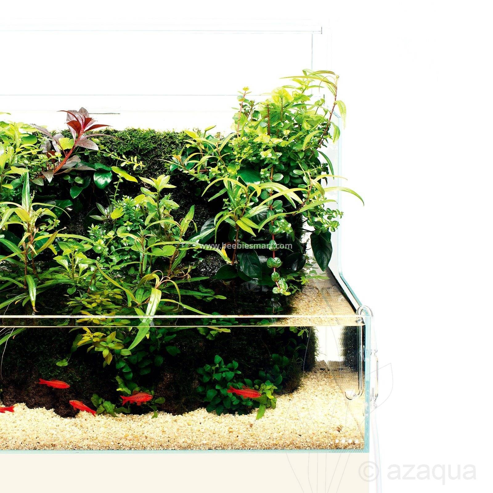 ADA DOOA Neo Glass Terra (H36cm) - Elegant Terrarium for Aquatic