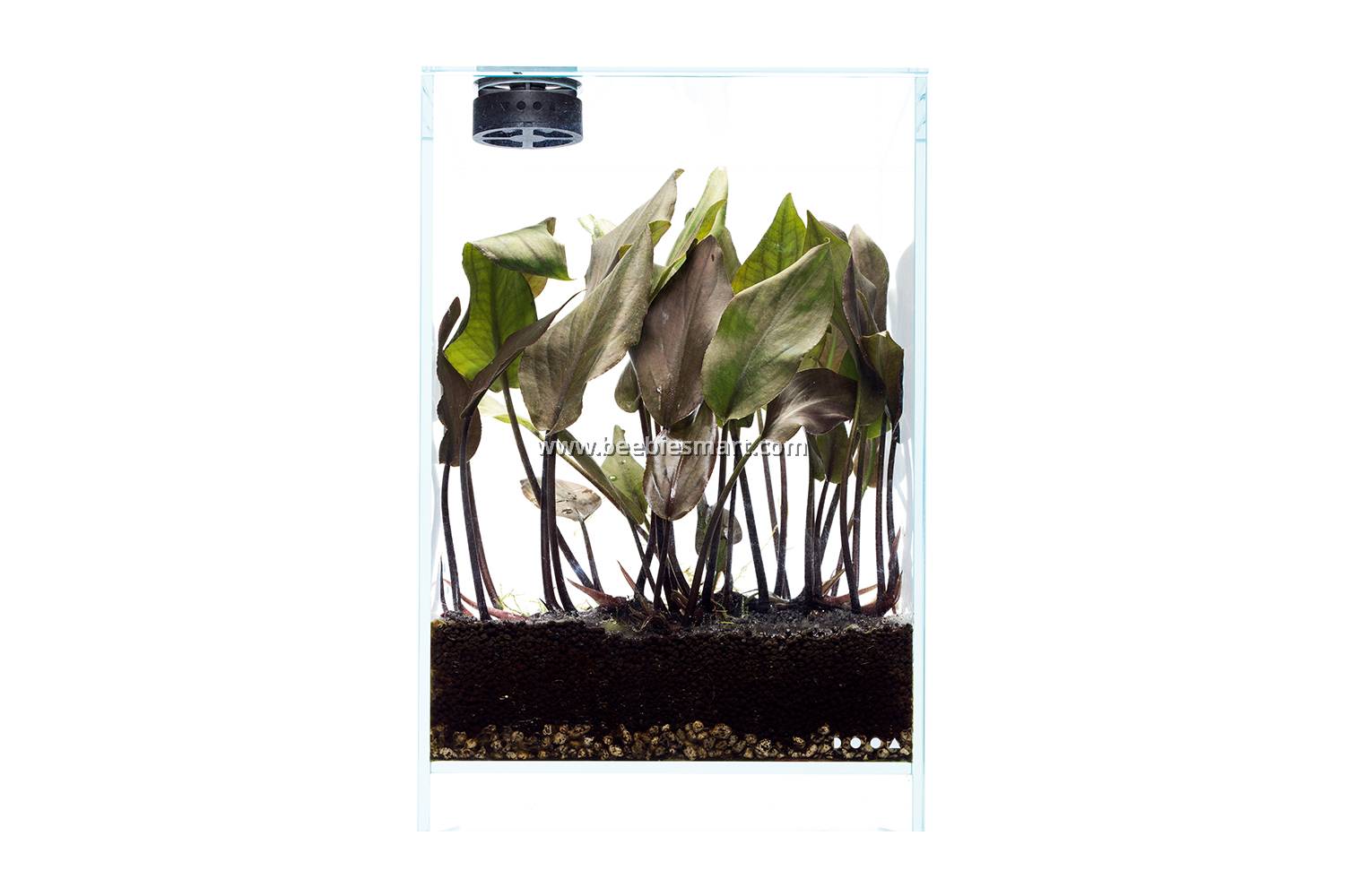 ADA DOOA NEO Glass Cover ADA NEO Glass Cover 15x15 Aquarium Glass