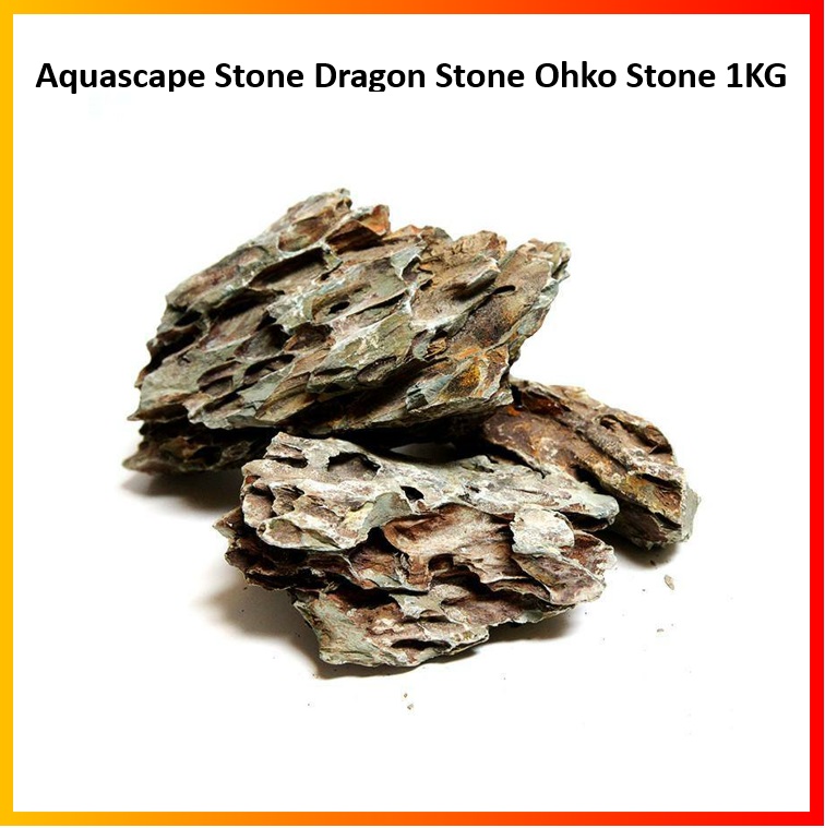 Aquascape Stone Dragon Stone Ohko Stone 1KG