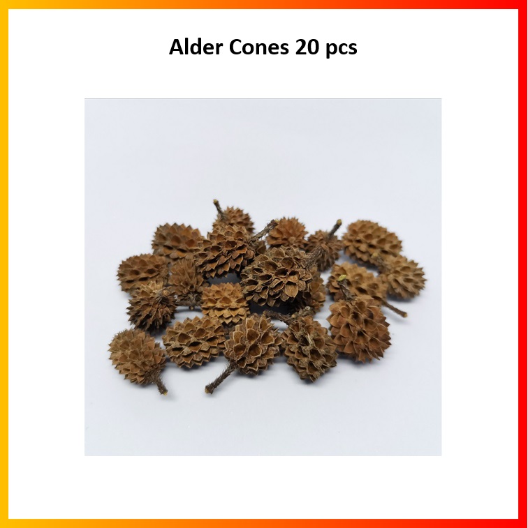 Alder Cones 20pcs